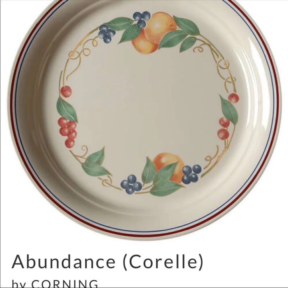 NEW-4ea. Dinner Plate Abundance Corelle by Corning